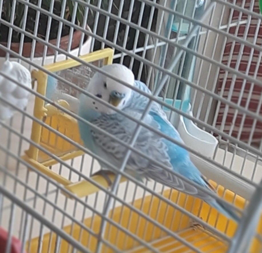 MC Casas/❤️🌹 tweet media