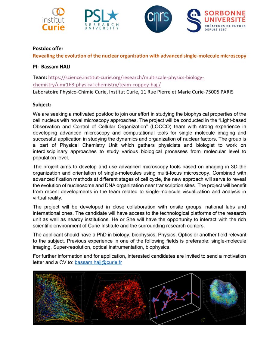Bassam HAJJ (@bassam_a_hajj) on Twitter photo Looking for a motivated post-doc to join our team.
shorturl.at/qrsuD
Contact: bassam.hajj@curie.fr
#SMLM #SuperResolution #postdoc #3D #Microscopy Looking for a motivated post-doc to join our team.
shorturl.at/qrsuD
Contact: bassam.hajj@curie.fr
#SMLM #SuperResolution #postdoc #3D #Microscopy