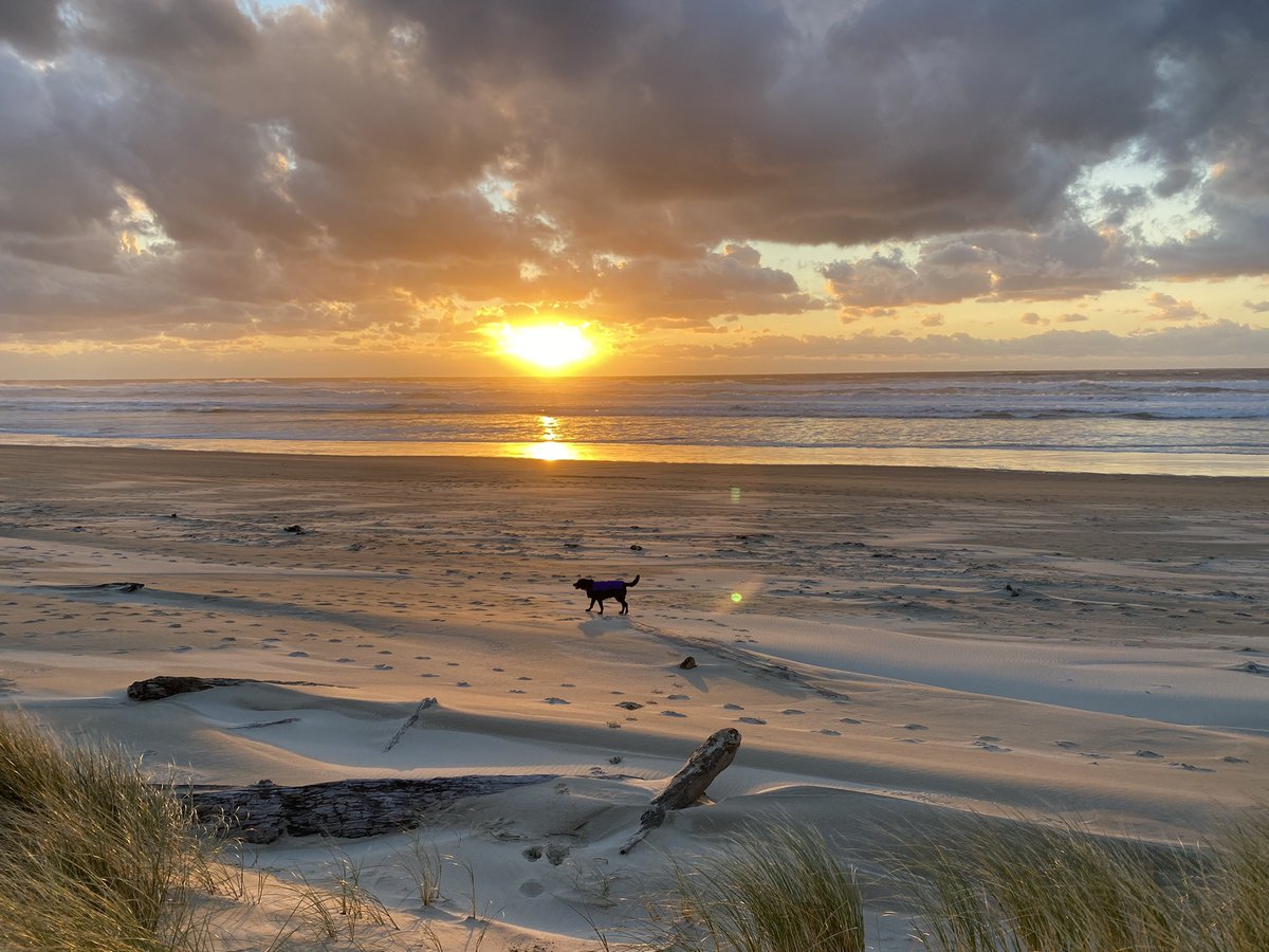 Monthly update with <a href="/kBraselDazzle/">Karen</a>  always starts with 3 things we’re grateful for. Grateful for sunshine on the beach in November! Amazing place, amazing co-residents. ❤️❤️this place @OHSUsurgery What are you thankful for?? <a href="/WCCrannell/">W. Christian Crannell, MD</a> @alixdixonMD <a href="/LossLindsey/">Lindsey Loss, MD</a>