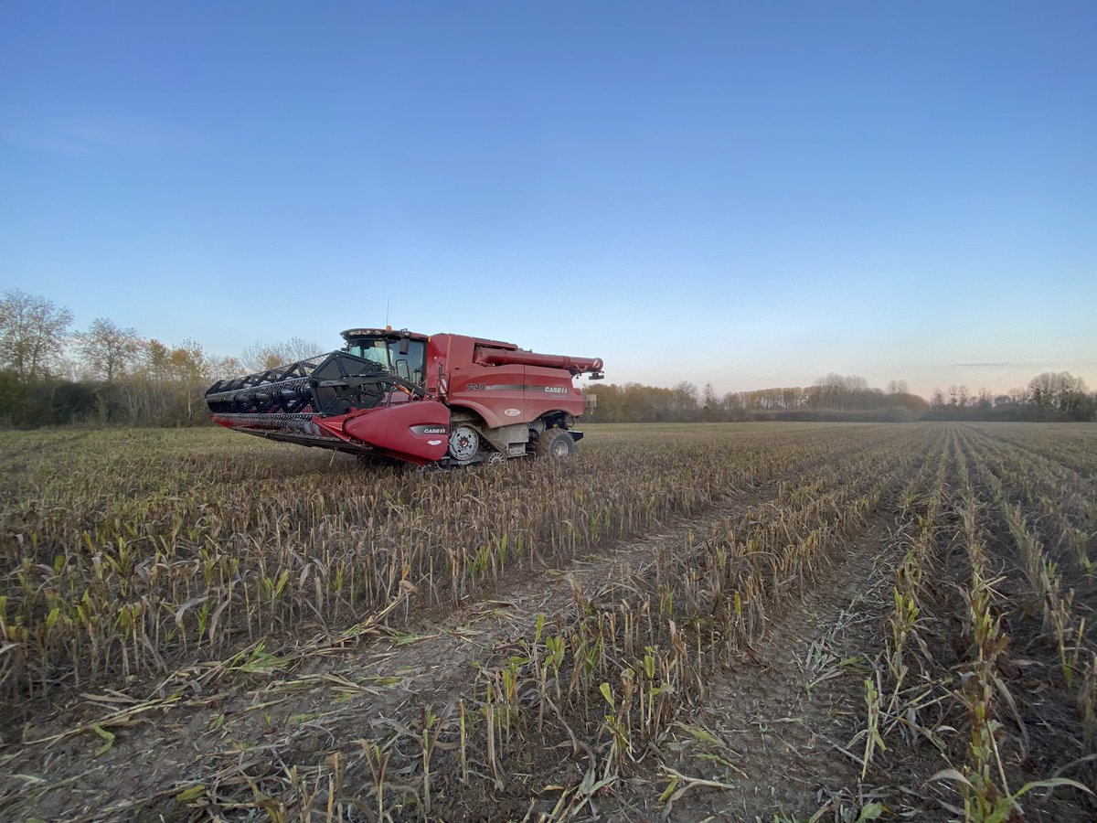 agriaube86's tweet photo. Sorgho recolté, moisson 2020 terminée 👍👍👍🍾🚜🌾 https://t.co/2nhhlgbjxA