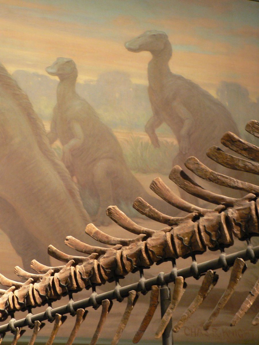 Growing up in MKE, trips to Chicago's Field Museum were frequent. When I lived in Chicago for 10 years, I tried to visit the fossil halls at least once a year. The Knight murals with their pastel colors & impeccable layouts are ingrained in my brain.