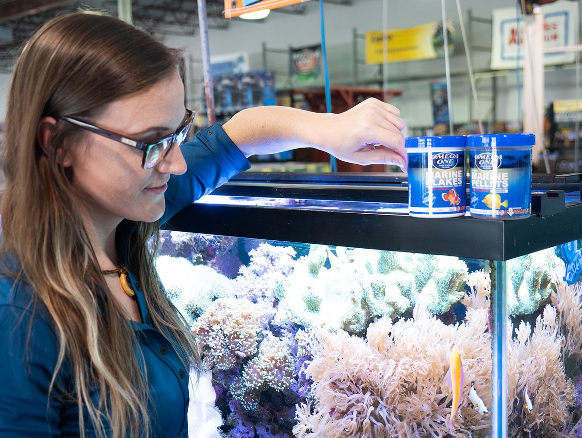 OmegaSeaLLC's tweet image. Omega One® Marine Flakes &amp;amp; Pellets are formulated specifically for your Marine fish. With Salmon skins for vibrant fish colors, and flavored with garlic to promote health and taste, these flakes and pellets will be a hit in your saltwater tank!