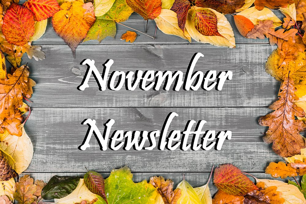 ElemLil's tweet photo. November Newsletter https://t.co/n4oAn5UVhf https://t.co/ltHuOh3TSI