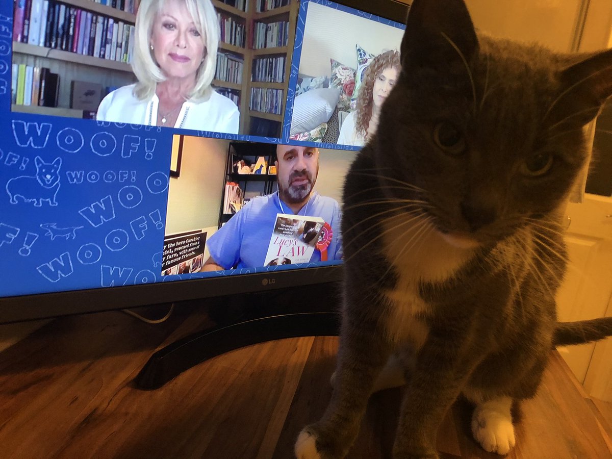 <a href="/HollywoodDogs/">Hollywood Dogs</a> <a href="/marcthevet/">Dr Marc Abraham OBE</a> <a href="/WestEndWoofsUK/">West End Woofs</a> <a href="/OfficialBPeters/">Bernadette Peters</a> <a href="/elaine_paige/">Elaine Paige</a> <a href="/JohnBarrowman/">John Barrowman MBE</a> <a href="/RealMattLucas/">Matt Lucas HQ</a> <a href="/Twiggy/">Twiggy LawsonDBE</a> <a href="/lulushouts/">Lulu</a> Currently watching this great pet adoption show on <a href="/YouTube/">YouTube</a> 
Enjoyed watching <a href="/elaine_paige/">Elaine Paige</a> (who my Mom loves) and <a href="/OfficialBPeters/">Bernadette Peters</a> interview my favourite vet <a href="/marcthevet/">Dr Marc Abraham OBE</a> 
M🐾