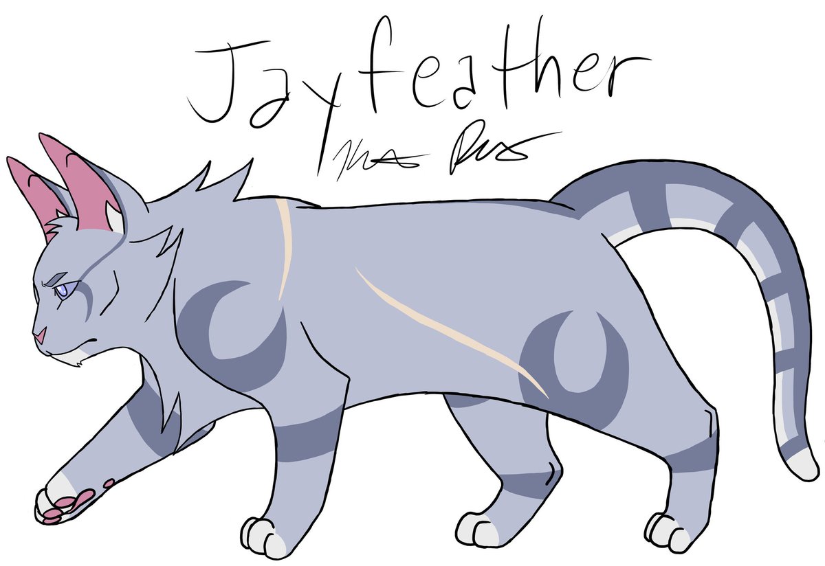 k_inthenorth's tweet photo. my play on @TennelleFlowers 's jayfeather design, since he's the #wcotw !! @theclandom https://t.co/nDDEgBzpkj