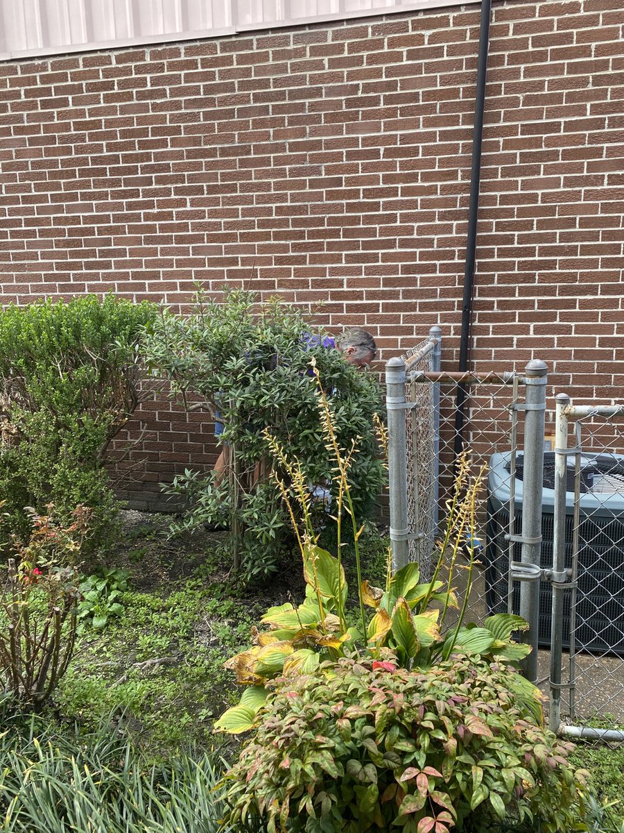 Eye Spy Mr. Mark! We are so thankful for his hard work keeping our school beautiful! #TeamDCS #RaiseTheBar