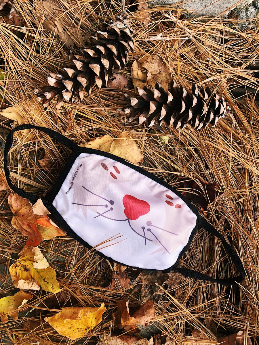 KFWFoundation's tweet photo. Good news! You still have a chance to get your hands on 2 reusable face masks featuring Salato’s bobcat and bear. For a donation of $15, both masks will be shipped to your door. Limited quantities available. So, don’t wait! (Masks are polyester/spandex.)
https://t.co/Q3cCyLWD6d https://t.co/eaM9AvfrVy