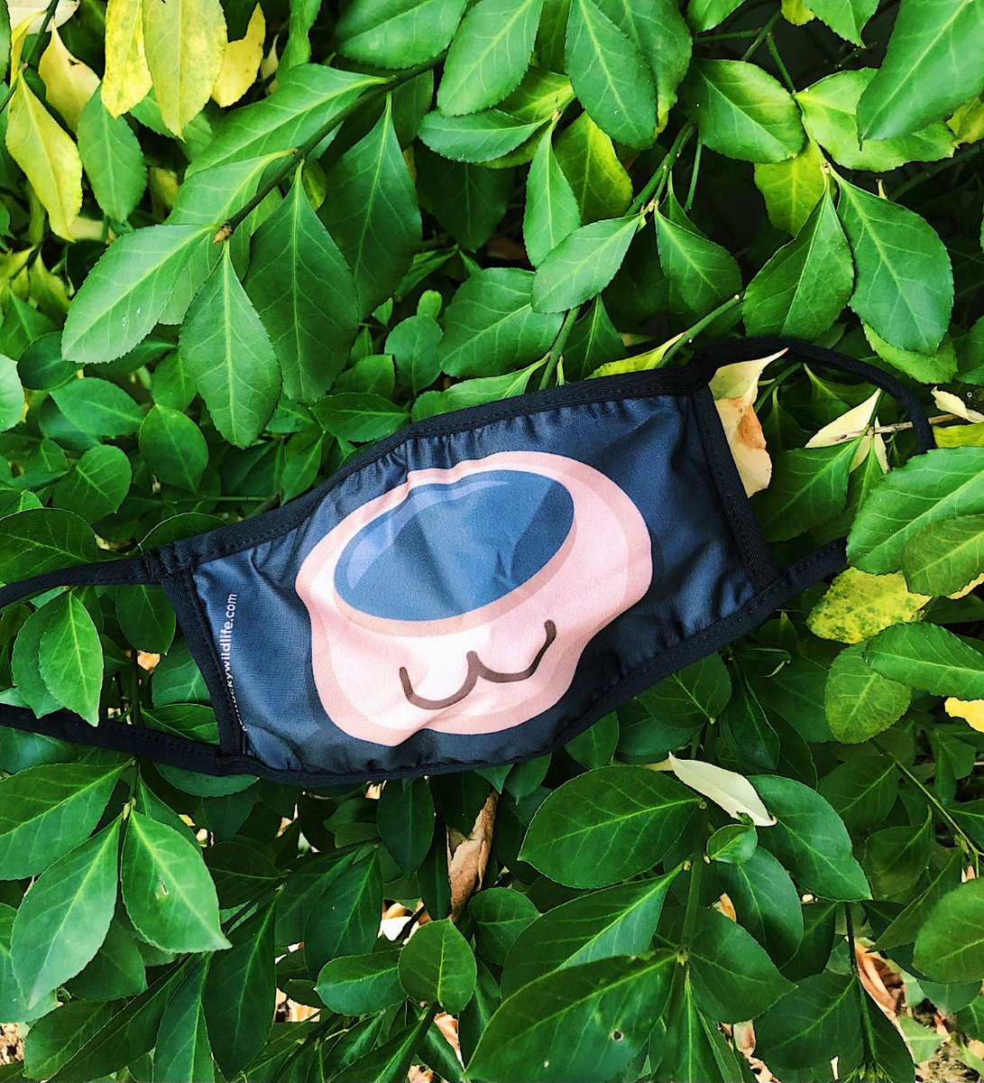 KFWFoundation's tweet photo. Good news! You still have a chance to get your hands on 2 reusable face masks featuring Salato’s bobcat and bear. For a donation of $15, both masks will be shipped to your door. Limited quantities available. So, don’t wait! (Masks are polyester/spandex.)
https://t.co/Q3cCyLWD6d https://t.co/eaM9AvfrVy