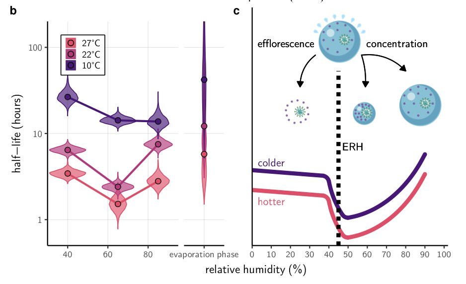 New preprint study showing the virus remains infectious longer at low temperatures and extreme relative humiditiesKey finding: the virus remains infectious longer at low temperatures and extreme relative humidities https://twitter.com/dylanhmorris/status/1317452511624790017?s=2036/x