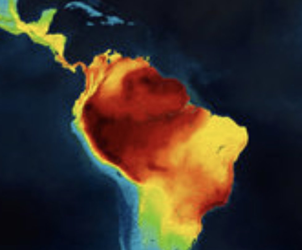 ymalhi's tweet photo. Our next exciting online @oxtropforests seminar: @Lucia_Lohmann  on "Untangling the History of Neotropical Diversity". Why are the S American tropics the most diverse region on Earth? When did this diversity arise? Fri 13 Nov 4 pm UK time. Register here: https://t.co/ikZBn8a1k8 https://t.co/scAeMdNu5f