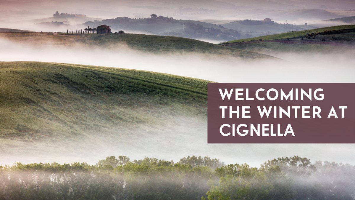 cignellavillas's tweet photo. Here at Cignella, November is when we start to welcome the winter months! We love the look of the Tuscan hills surrounded by mist and fog.
Do you prefer the winter or the summer months?
#cignella #cignellavillas #winter #visititaly #misty #visittuscany #holiday #tuscany https://t.co/b2wILubWV2
