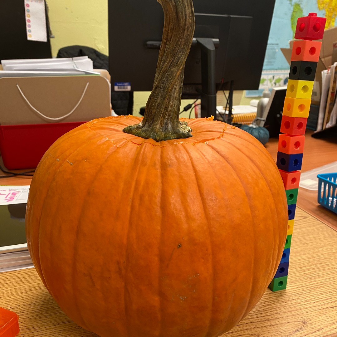 SyracuseAcademy's tweet photo. OMG look at all those #PumpkinSeeds! #Kindergarten #SASAtoms enjoy a #Fall #Math activity where they determined the quantity, size & shape of pumpkin seeds & height of their pumpkin.
.
@dfranknyc @nycharterassoc @Ninacharters @CharterEmpire
.
#SASCS #PumpkinActivity #Education https://t.co/7r1DJUlyFn