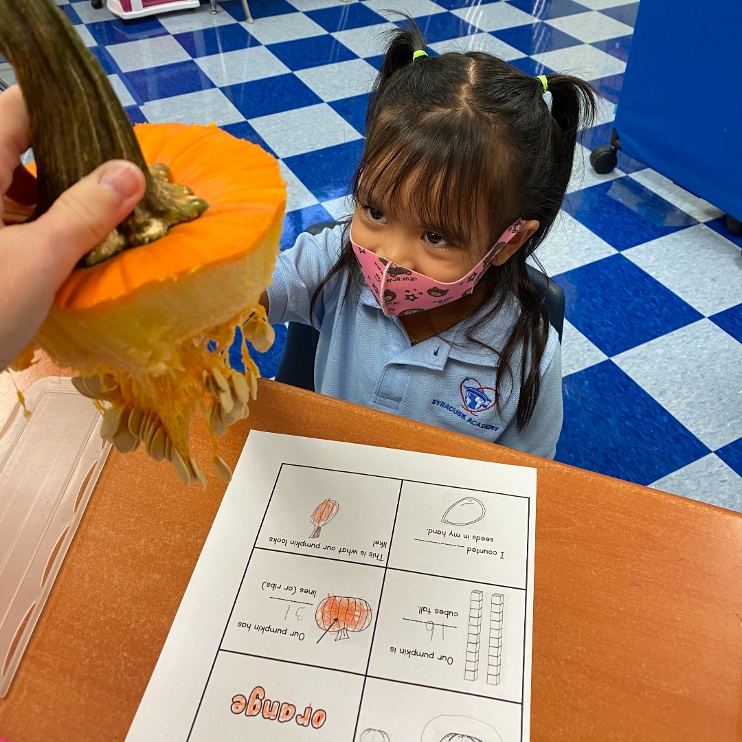 SyracuseAcademy's tweet photo. OMG look at all those #PumpkinSeeds! #Kindergarten #SASAtoms enjoy a #Fall #Math activity where they determined the quantity, size & shape of pumpkin seeds & height of their pumpkin.
.
@dfranknyc @nycharterassoc @Ninacharters @CharterEmpire
.
#SASCS #PumpkinActivity #Education https://t.co/7r1DJUlyFn