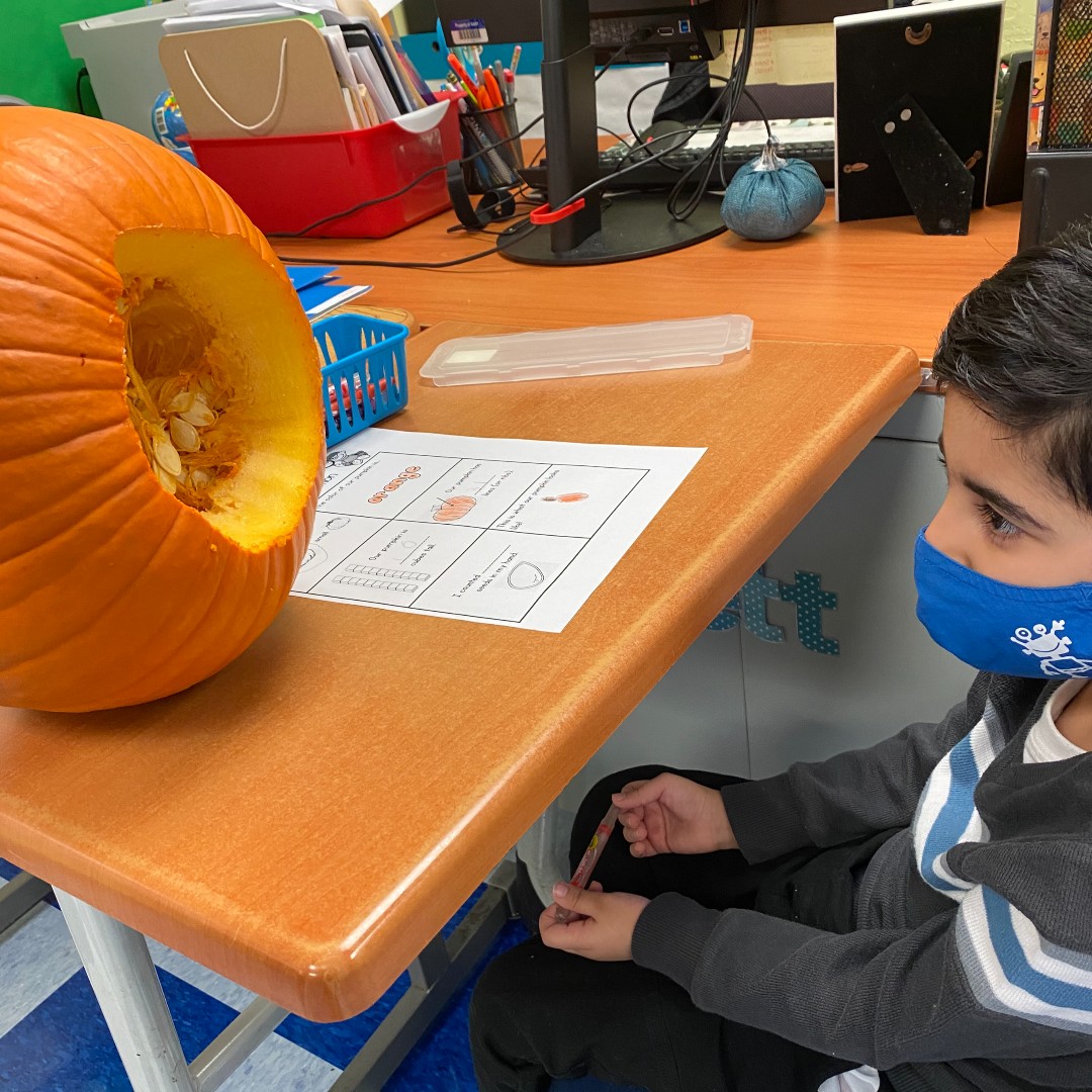 SyracuseAcademy's tweet photo. OMG look at all those #PumpkinSeeds! #Kindergarten #SASAtoms enjoy a #Fall #Math activity where they determined the quantity, size & shape of pumpkin seeds & height of their pumpkin.
.
@dfranknyc @nycharterassoc @Ninacharters @CharterEmpire
.
#SASCS #PumpkinActivity #Education https://t.co/7r1DJUlyFn
