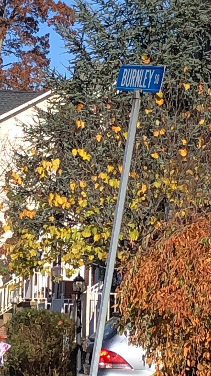 MalamScience's tweet photo. How about all these #fallleaves during #labdelivery? #pandemicteaching #beautifuldayintheneighborhood https://t.co/FyMPsIX8Qi