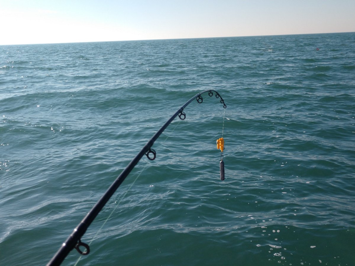 MaceOnIce's tweet photo. From pulling inline boards or deploying snapweights on Lake Erie, the end results equal walleye! #StCroixRods #BestRodsOnEarth #stcroixrods #bestrodsonearth https://t.co/2gHmtZxDgY