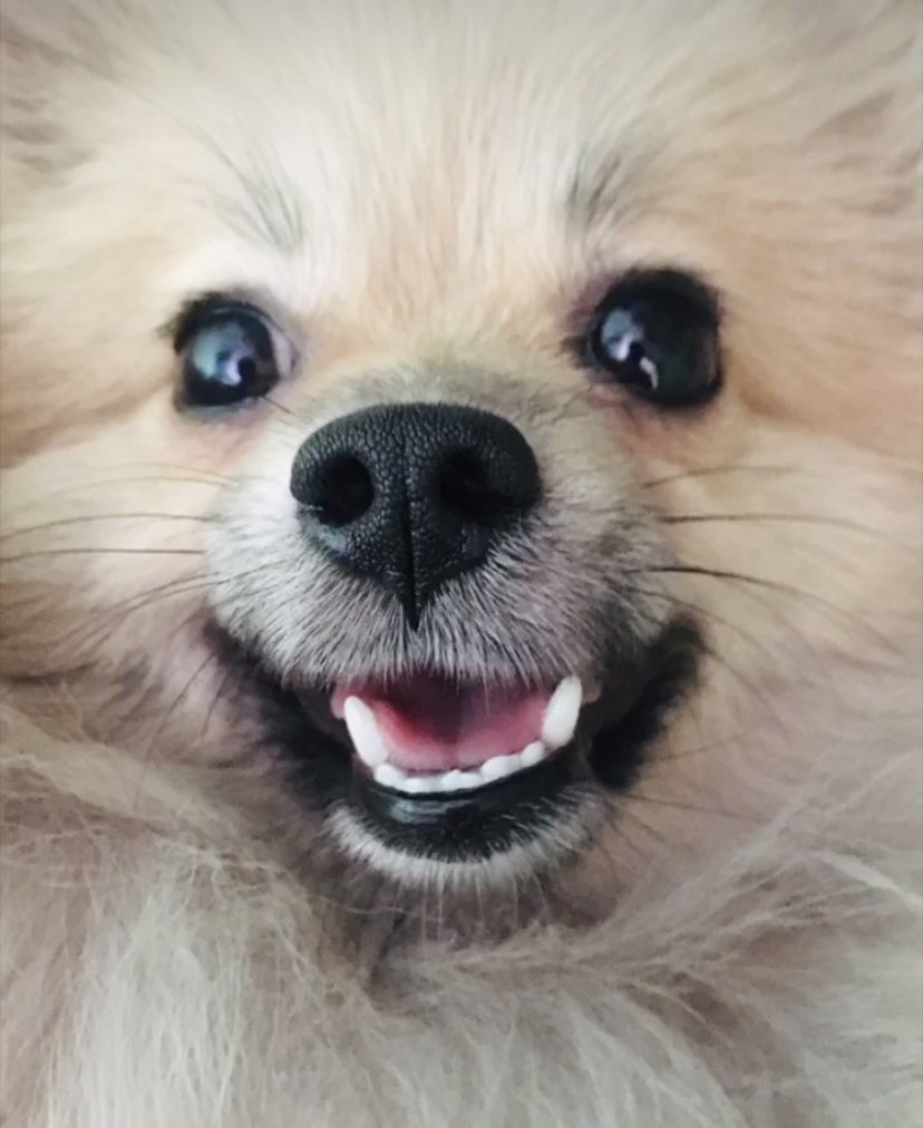 Gioometry's tweet image. Stellar is here to bless your feed 🥰