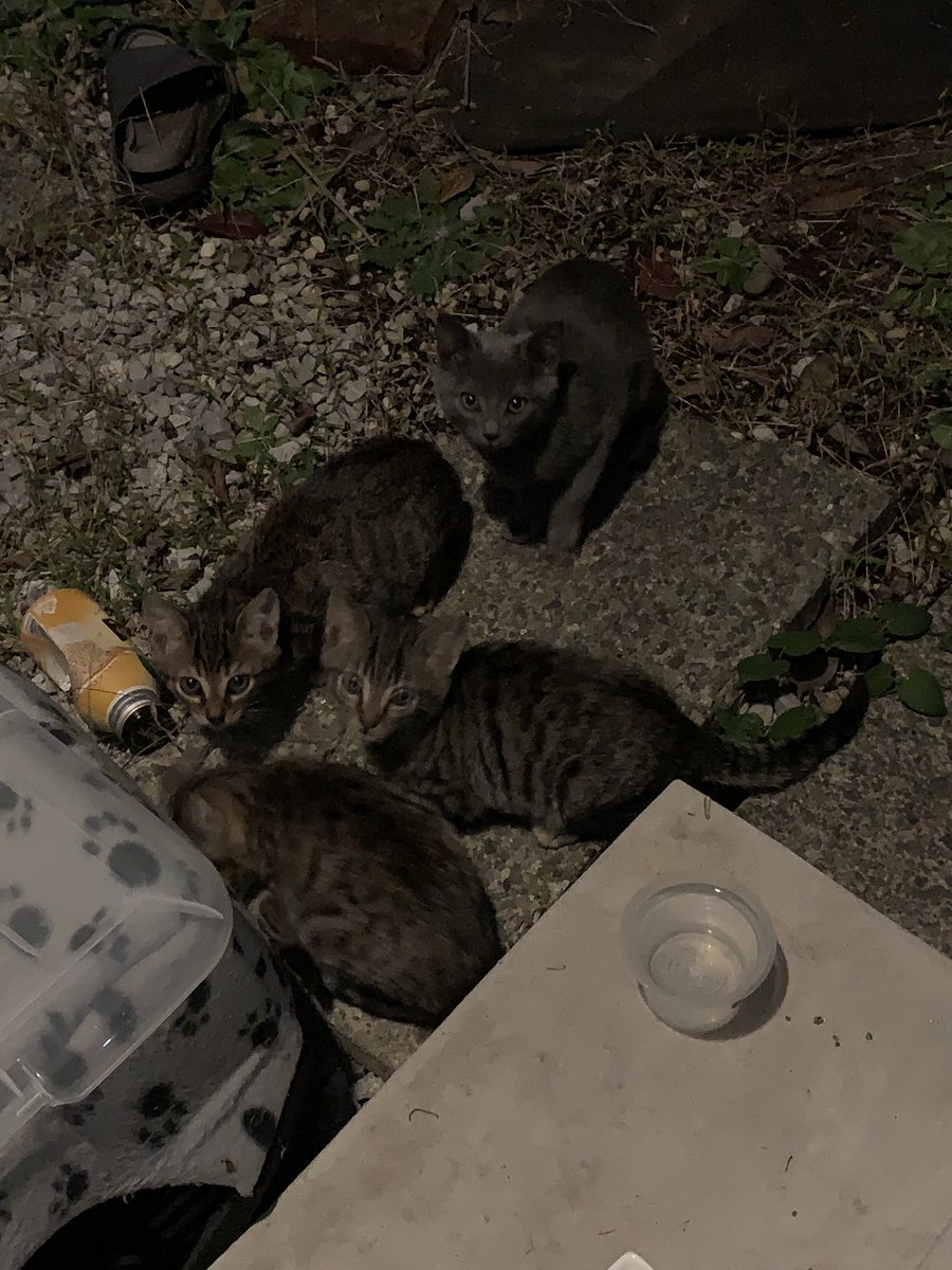 早急に対策しなければ。欲しい人いますか？