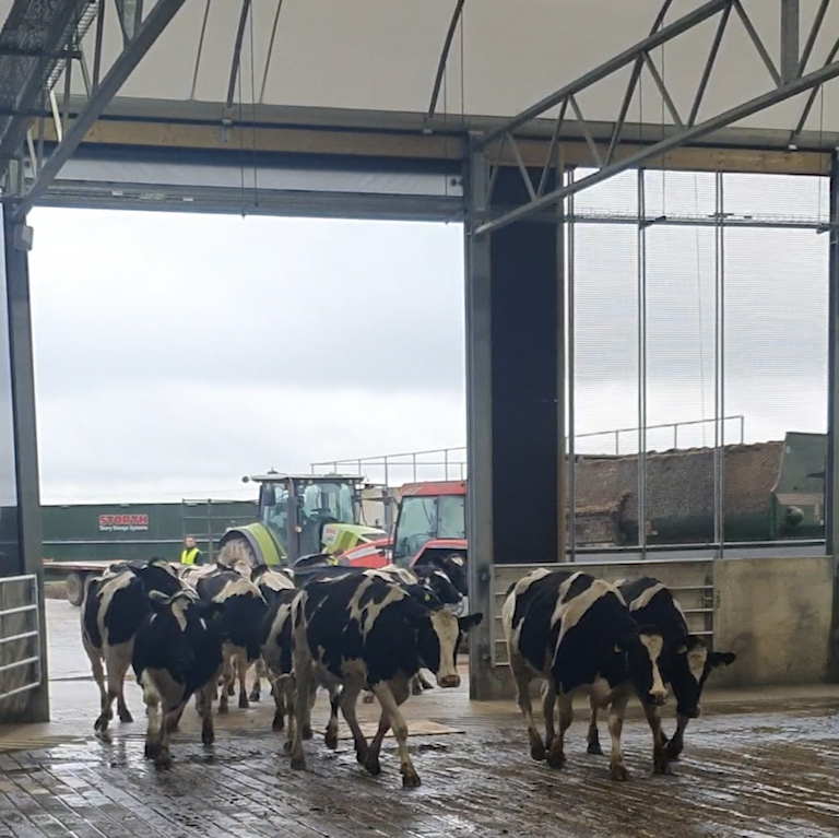 Mooving in!

Today the cows moved into to Future Farm, the new dairy research and knowledge transfer facility at Duchy College.

Thanks to #ERDF, our project partners, and stakeholders from industry and government.

#Innovation #RegenerativeAgriculture #GrowingBackSW