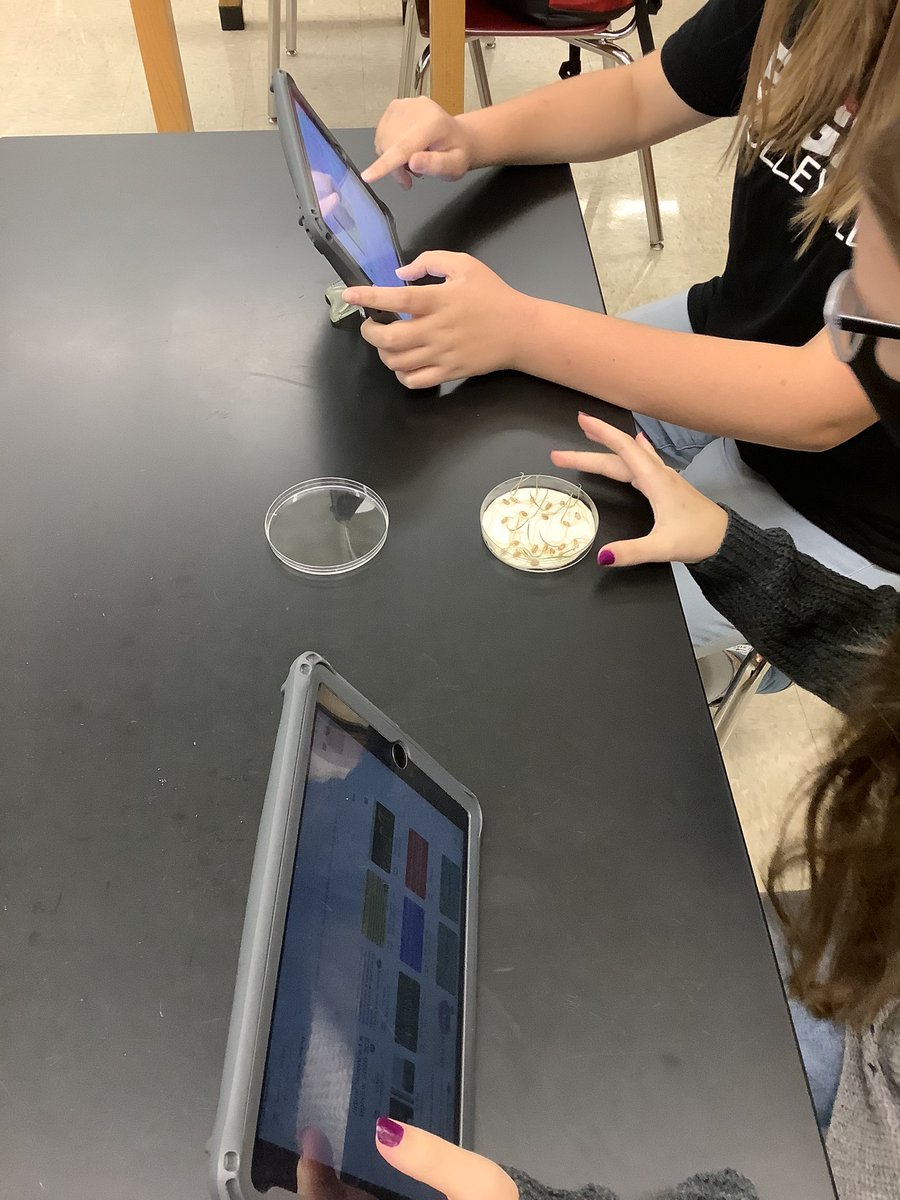 PepScienceSpot's tweet photo. Students researching โpink moldโ (which is actually a waterborne bacteria-Serratia marcescens-for any biology nerds out there) aka โshower moldโ that appeared in some petri dishes. No Students were harmed during this lab activity! ๐๐๐ผ #seedgermination #botany #FreshmanScience https://t.co/DEisgGyZU1