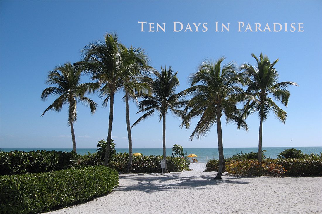 LindaAbbott55's tweet photo. "Absolutely loved this book...a perfect beach read!"
⛱ TEN DAYS IN PARADISE ⛱
https://t.co/4dfOY0aBJq
#KindleUnlimited #Audible #Audiobook
#SanibelIsland #Florida #FloridaReads
#LoveAffair #WomensFiction #BookLovers
#VacationMode #VacationReading
#BeachRead #ReadIndie🌴🌊🌞 https://t.co/jnQSrhuprO