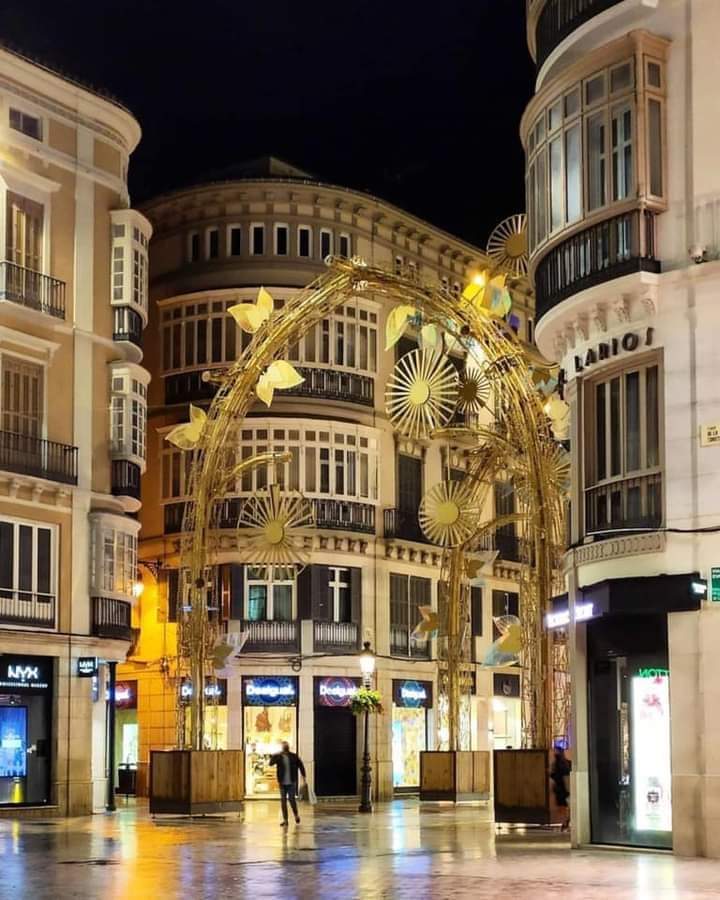 @purpuracocaes (@purpuracocaes1) on Twitter photo 