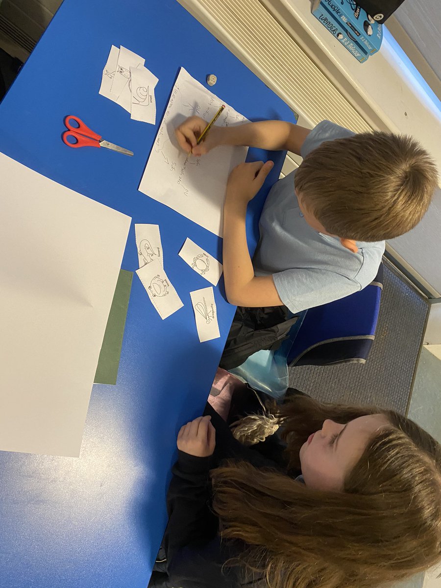MissScottSPS's tweet photo. Today we developed our understanding of grouping living things using classification keys. Super discussions with very interesting ideas, well done P5C! https://t.co/TPExk8ojKr