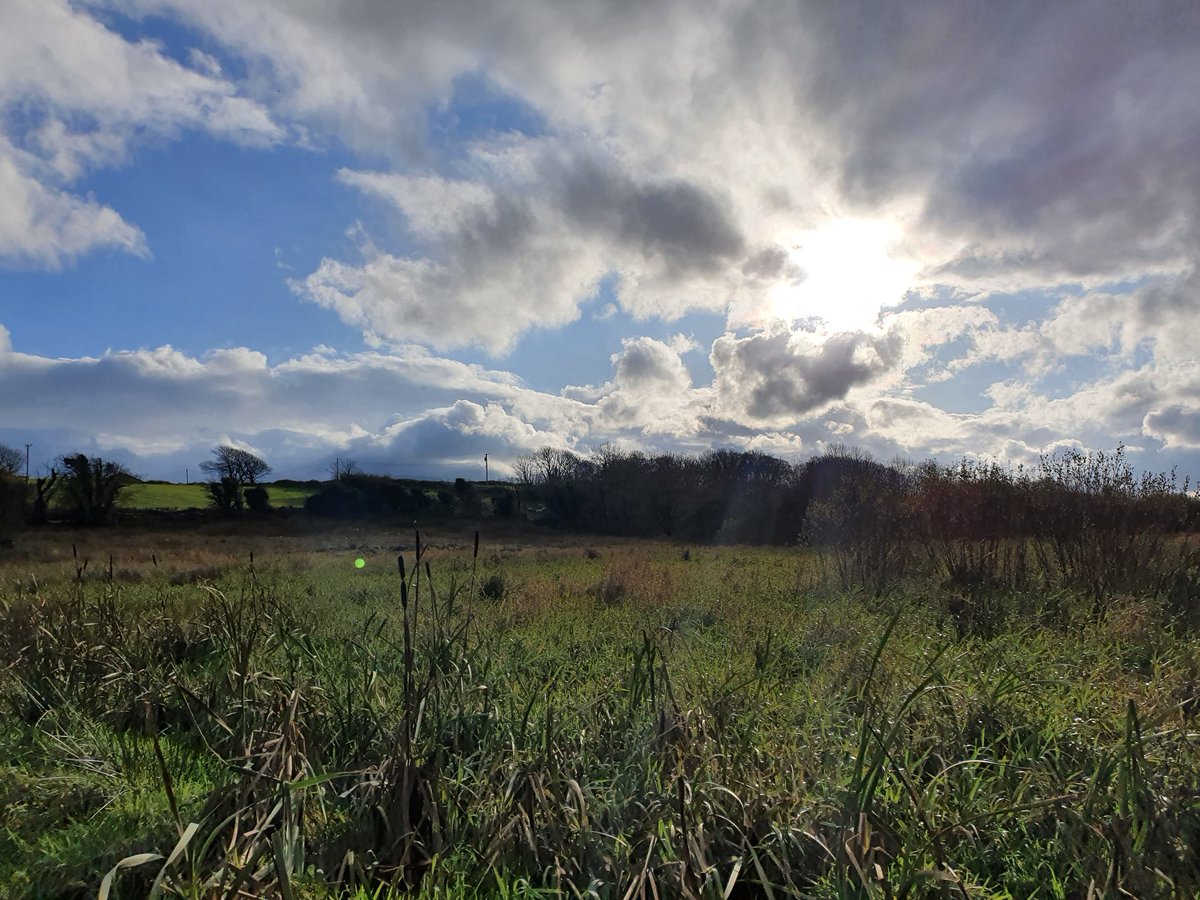 lyn_foley's tweet photo. Day 314 of #100daysofwalking #365daysofwalking #walkingthroughthecrisis #WalkingThroughLockdown2 #5kmfromhome #Sligo https://t.co/YQWeR8EeV5
