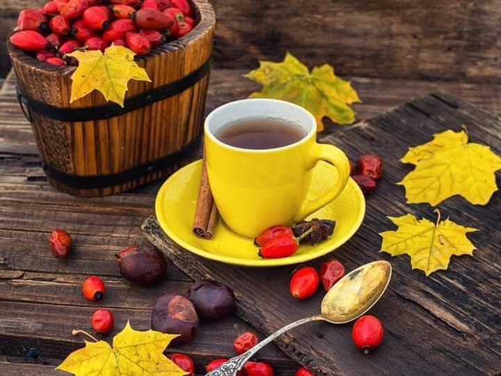 @purpuracocaes (@purpuracocaes1) on Twitter photo 