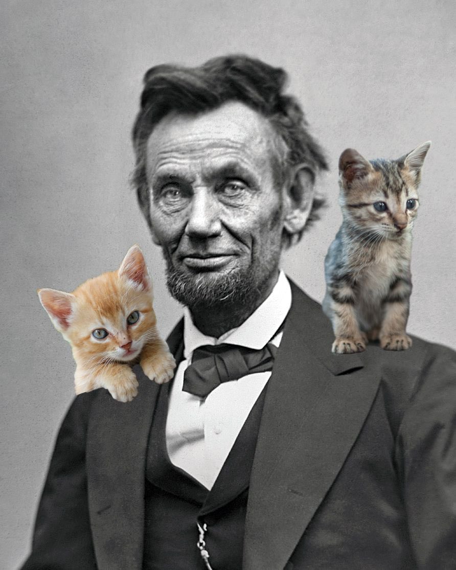 Abraham Lincoln loved cats! His cat, Tabby not only lived in the White House, he reportedly participated in White House dinners where he was fed with a gold fork! (Photoshopped pic for your enjoyment )