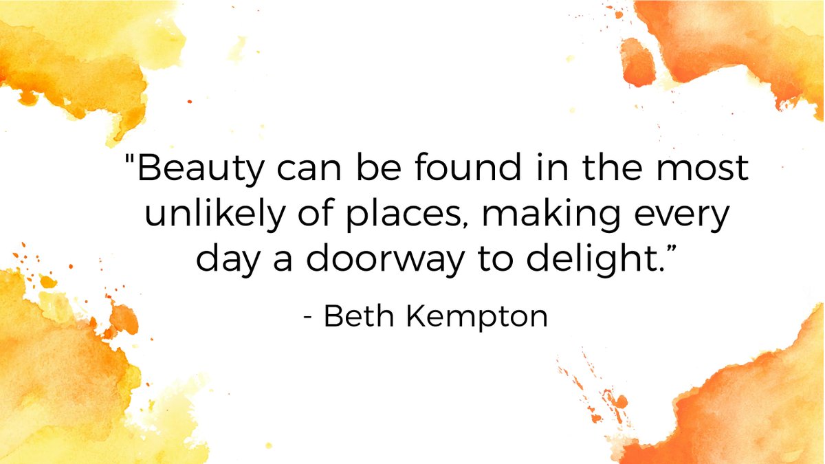 purposefull_UK's tweet photo. Which unlikely place have you found beauty lately??

@DoWhatYouLoveXx - Thank you for this wonderful reminder!

#wabisabi #beauty #wellbeing #growth #purpose https://t.co/oaTpyQ8vCm