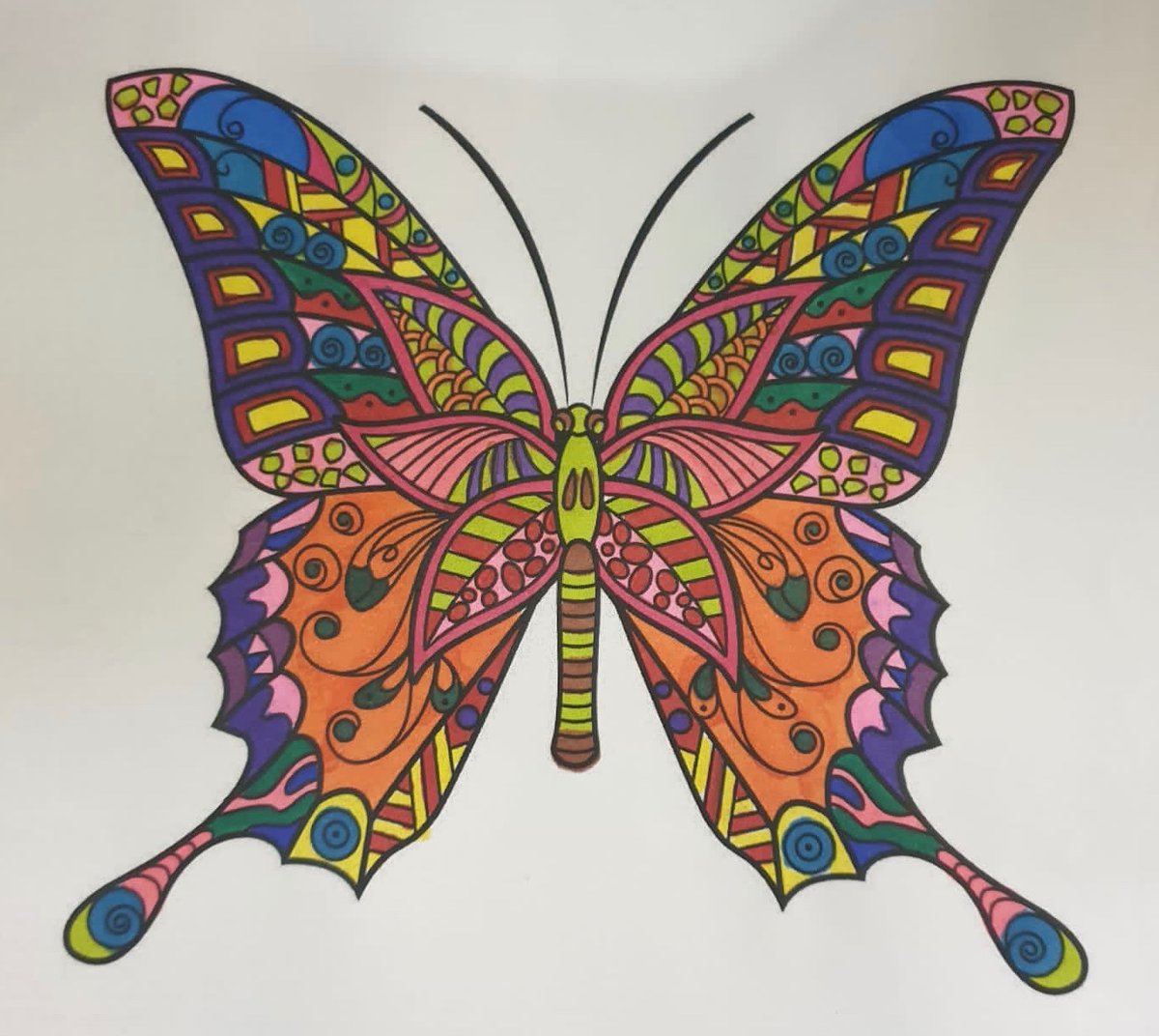RBHCareCrew's tweet photo. To brighten up the foggy grey day we had today, our lovely patients have decorated some butterflies to put on the window! Butterfly
#RBNHSFT #RBHCareCrew #ButterflyCraft https://t.co/Vl4lIkqkfW