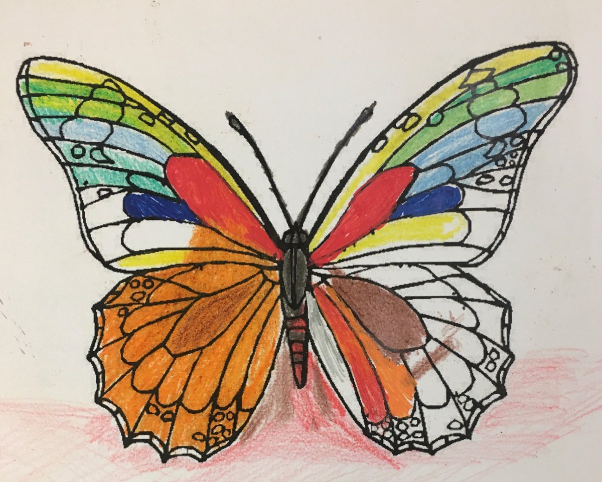 RBHCareCrew's tweet photo. To brighten up the foggy grey day we had today, our lovely patients have decorated some butterflies to put on the window! Butterfly
#RBNHSFT #RBHCareCrew #ButterflyCraft https://t.co/Vl4lIkqkfW
