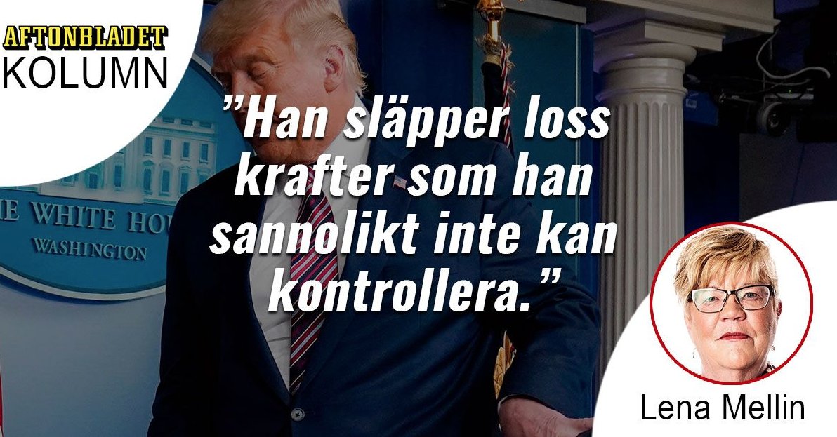 Aftonbladet's tweet photo. Lena Mellin: Alla vet att en skadskjuten björn är livsfarlig.
Donald Trump beter sig som en sargad grizzly. Därför är han farlig.​
https://t.co/IFaNUawjEq https://t.co/Fd8YbSZCGa