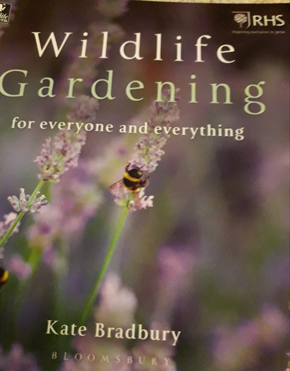 Nature_Notes20's tweet photo. Thank you to @Kate_Bradbury for your very informative book that helped me identify lots of bees for the #WorldBeesWeekend it has also made me see how I can improve the garden & allotment for #bees https://t.co/UCAhSoV9dN