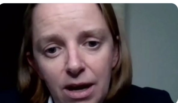 This is Caroline Wayman Chief Executive Officer and Chief Ombudsman at @financialombuds I have personal experience of her and sadly appearances don't deceive and yes she's as useless as she looks! This photo is taken from @CommonsTreasury The @fca need to replace her immediately
