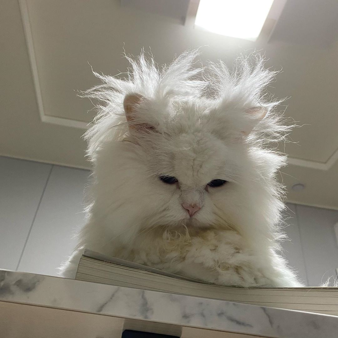 n0nsleeper's tweet photo. @xxzyx это все https://t.co/VpYMY8LfgB