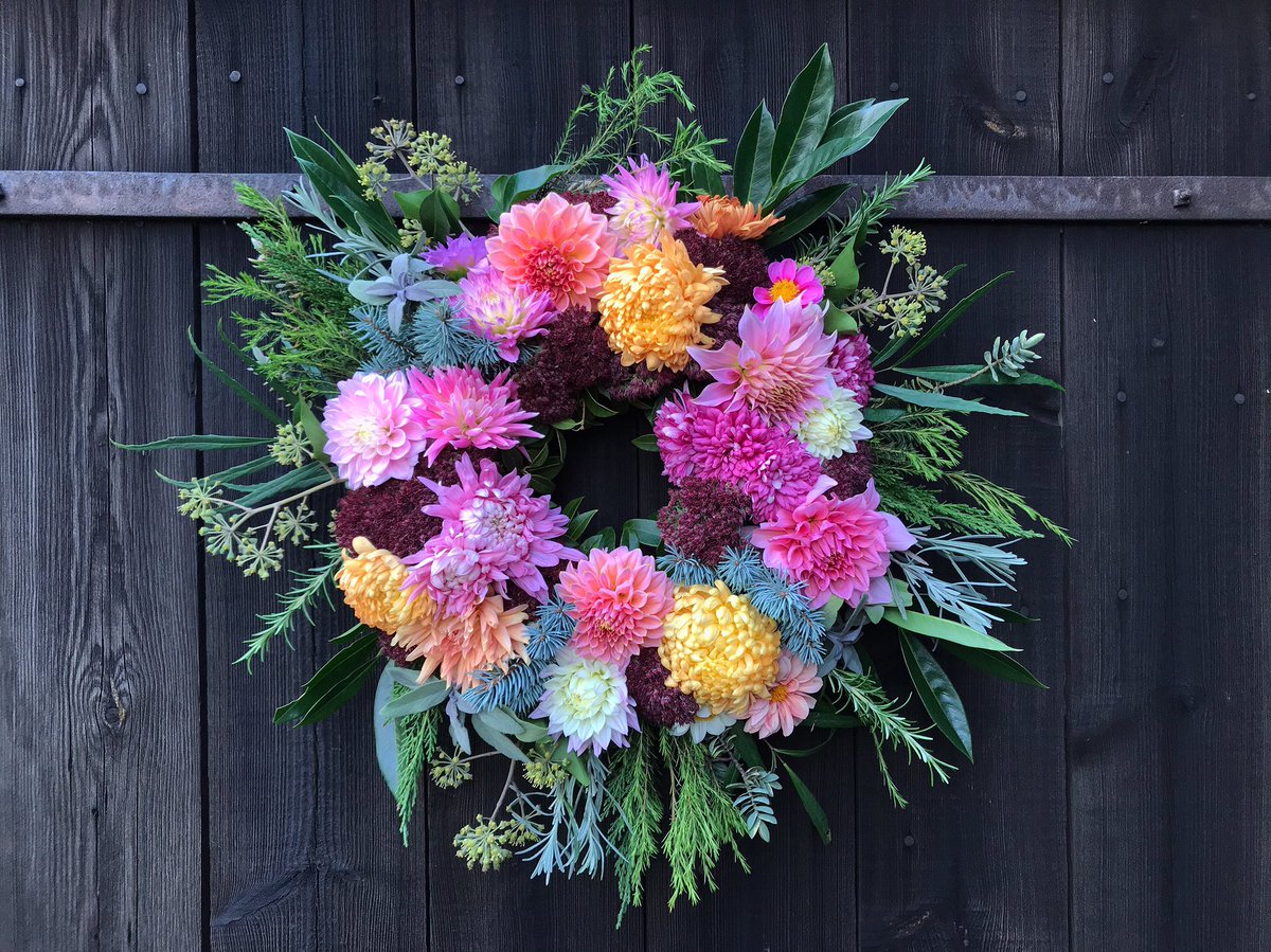 The last of the #dahlias  joining forces with the #chrysanthemums for a seasonal #wreath > #Norfolk #homegrown #gardeningjoy #crafternoon