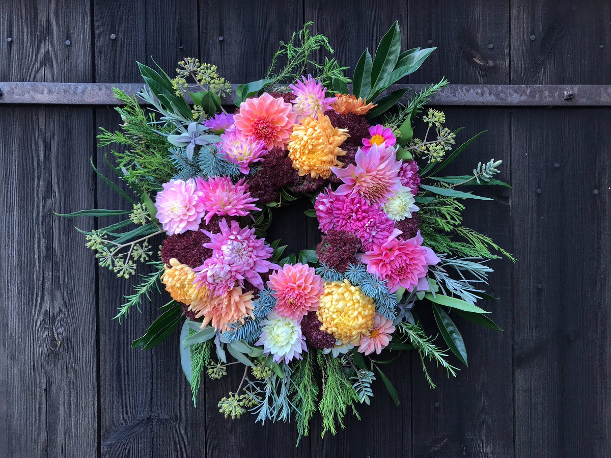 The last of the #dahlias joining forces with the #chrysanthemums for a seasonal #wreath > #Norfolk #homegrown #gardeningjoy #crafternoon