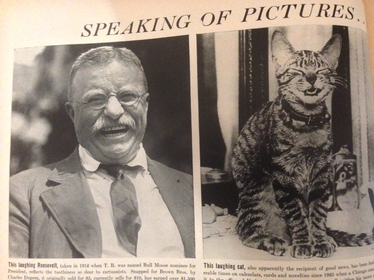 Theodore Roosevelt had all sorts of pets at the White House including two cats - Slippers & Tom Quartz. Slippers often fell asleep sprawled out in hallways.