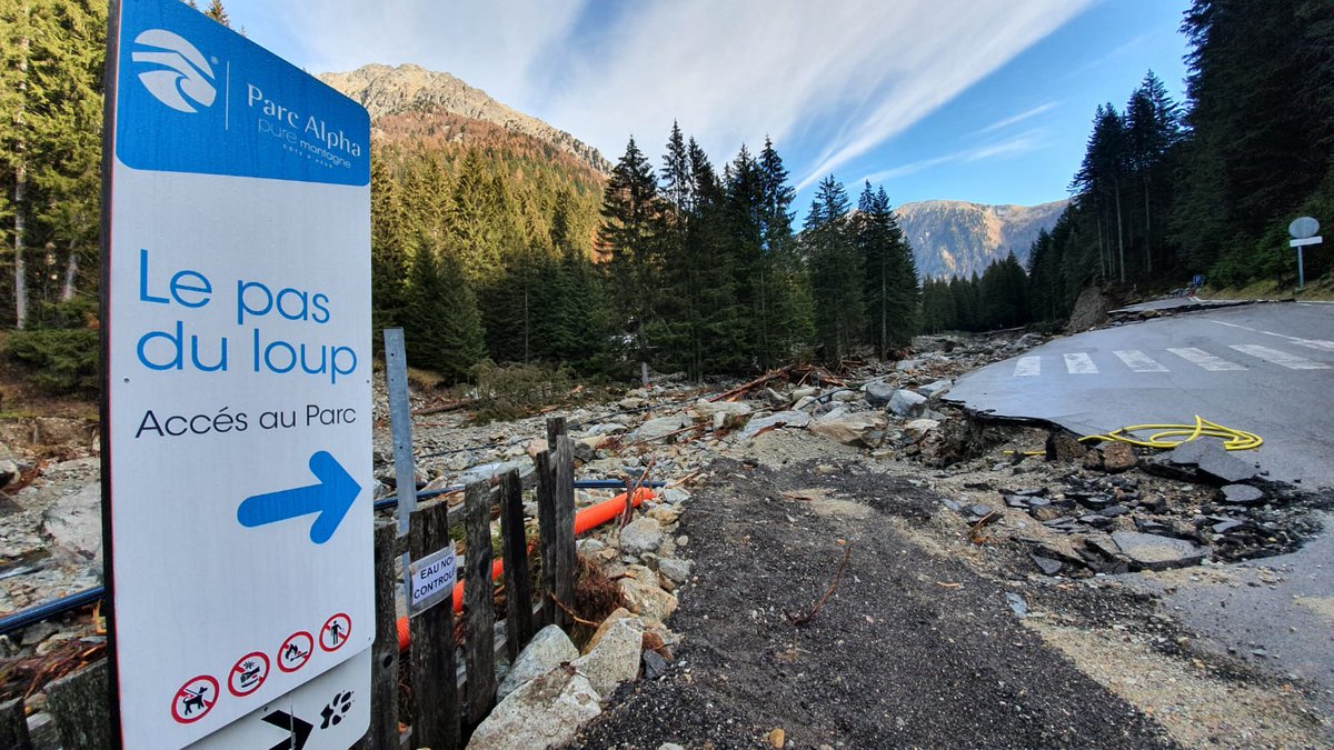 F3cotedazur's tweet photo. Tempête Alex dans les Alpes-Maritimes : 2 loups encore recherchés et les images du parc Alpha ravagé

https://t.co/Q0MPyfND1s #parcAlpha #Loup https://t.co/eT1ck5krIF