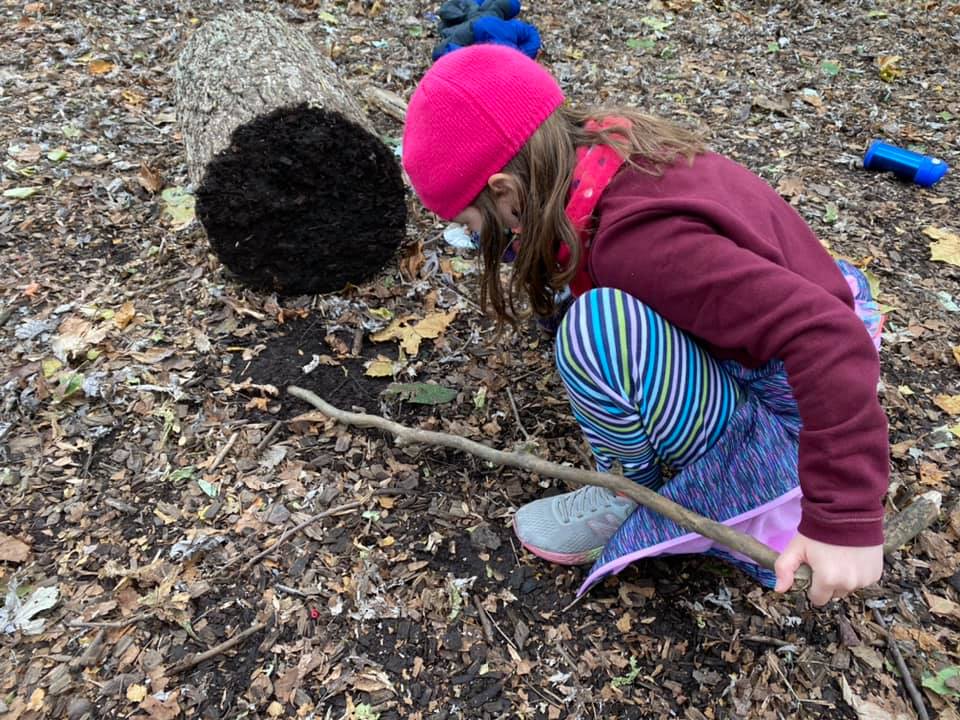 TerrpnAdvntures's tweet photo. Sometimes you need to look underneath to find hidden treasure. #WednesdayWisdom #nature #explore https://t.co/6FcEQT4DBs