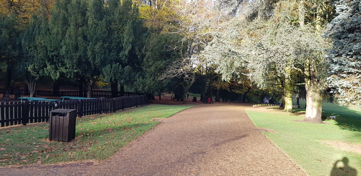 Haven't posted in this thread for a while. The woods is looking very autumnal now...