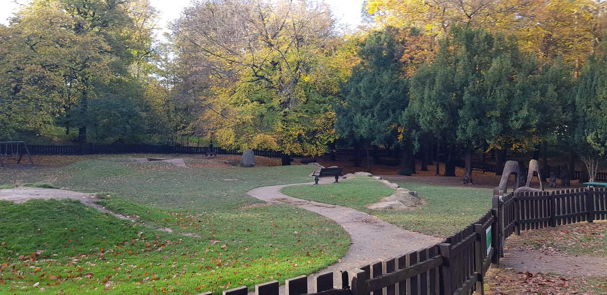 Haven't posted in this thread for a while. The woods is looking very autumnal now...