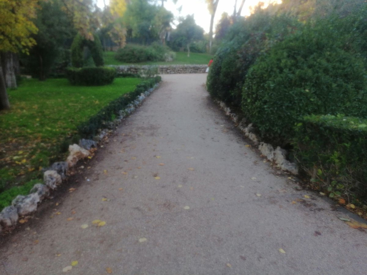carloscastrodiz's tweet photo. Cuando se pavimentó este vial del #ParqueODonnell hubo mucha polémica, el tiempo ha dado la razón a los técnicos de la concejalía @AHMedioAmbiente @AytoAlcalaH, el parque debe ser accesible todo el año. https://t.co/dCRADQs2xb
