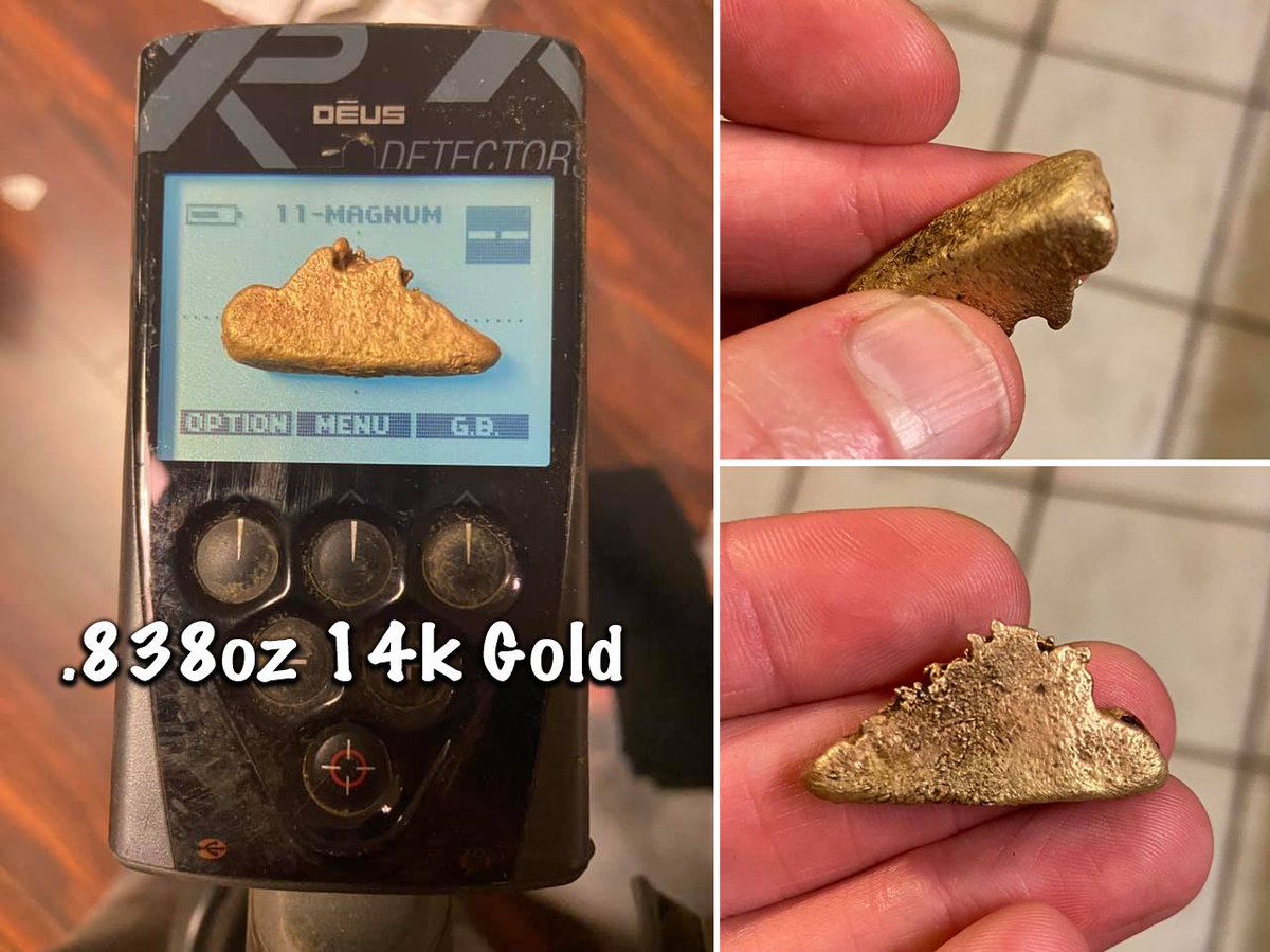 granthansen's tweet image. Found some big gold!!! #metaldetector #xpteamusa #metaldetecting #xpmetaldetectors #xpdeus #treasure #relic #treasurehunting #detectorsxp #xpfinds #silver #history #metaldetectingfinds #metal #treasure #dirtfishing #gold