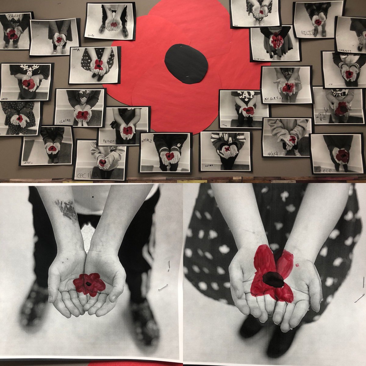 mme_randi's tweet photo. Les coquelicots de la maternelle - Kindergarten Poppies #SageCreekLRSD @marnikinder @goodspeed_ali @KiaraLevenick #ESCSbelonging https://t.co/VEUj4Tbu7e