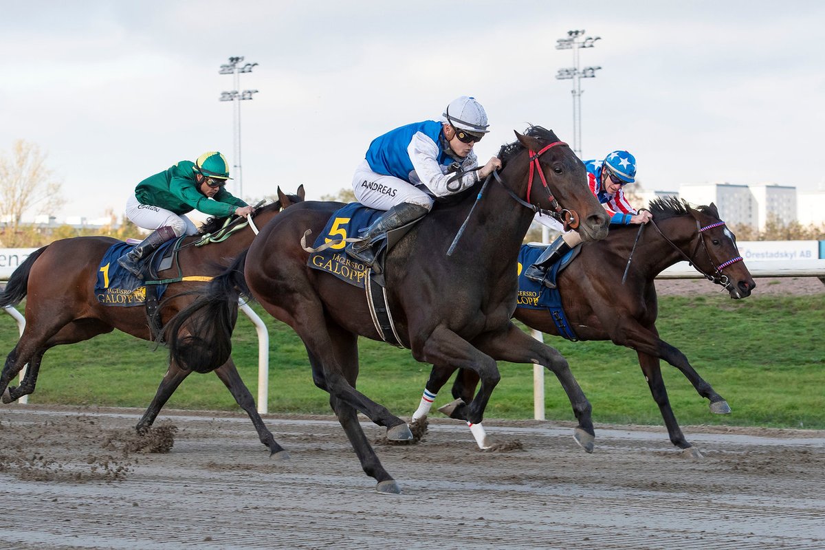 swehorseracing's tweet photo. Images from yesterday's fixture at #jagersro are online here: 

https://t.co/lxX3fvGnF1

📷 @galoppbilder

#swedishracing https://t.co/ro90ZDrCUt