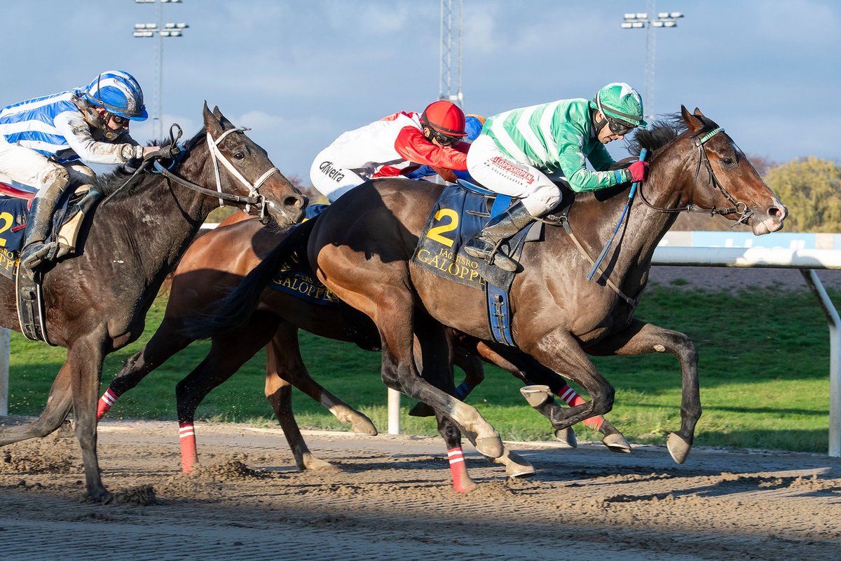 swehorseracing's tweet photo. Images from yesterday's fixture at #jagersro are online here: 

https://t.co/lxX3fvGnF1

📷 @galoppbilder

#swedishracing https://t.co/ro90ZDrCUt