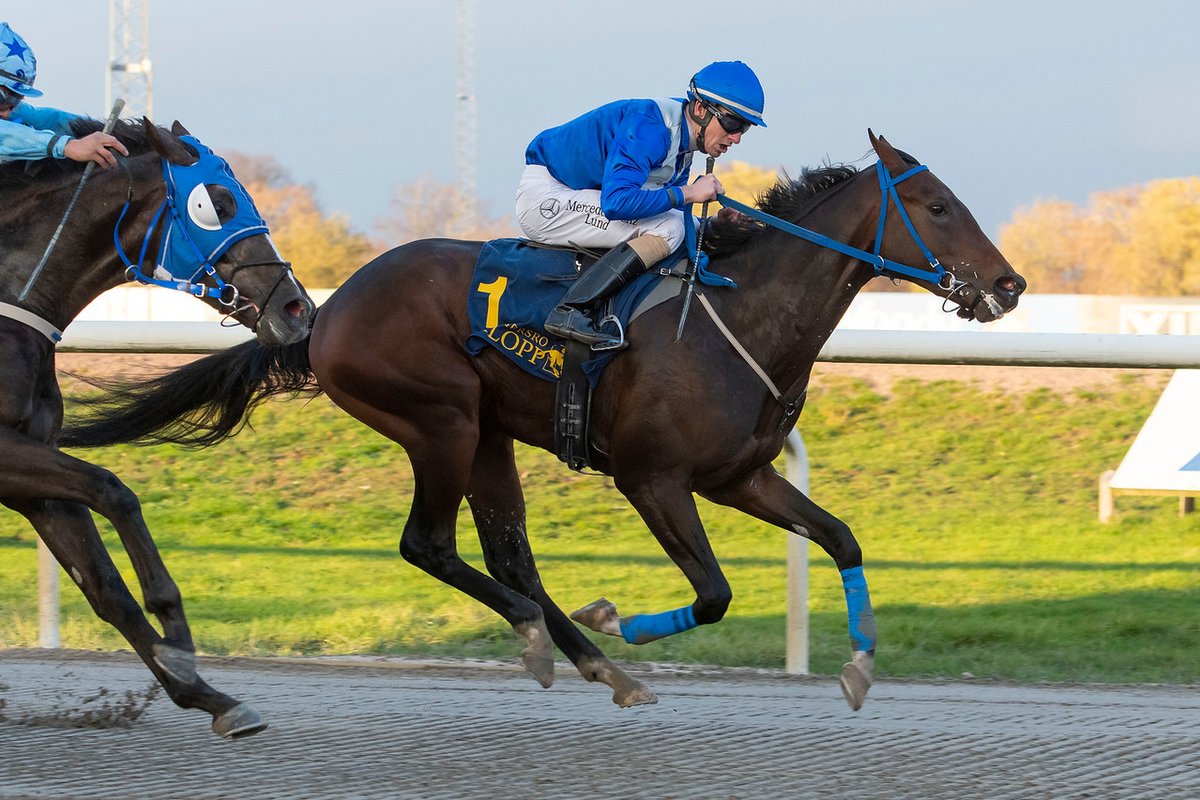 swehorseracing's tweet photo. Images from yesterday's fixture at #jagersro are online here: 

https://t.co/lxX3fvGnF1

📷 @galoppbilder

#swedishracing https://t.co/ro90ZDrCUt
